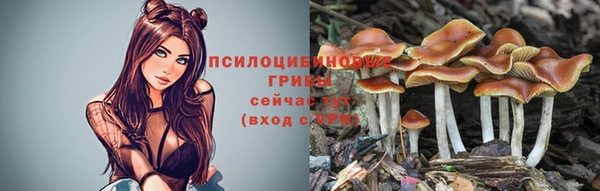 дживик Верхний Тагил