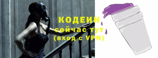 дживик Верхний Тагил