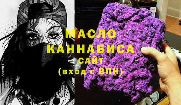 дживик Верхний Тагил