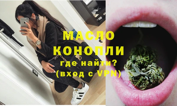 дживик Верхний Тагил