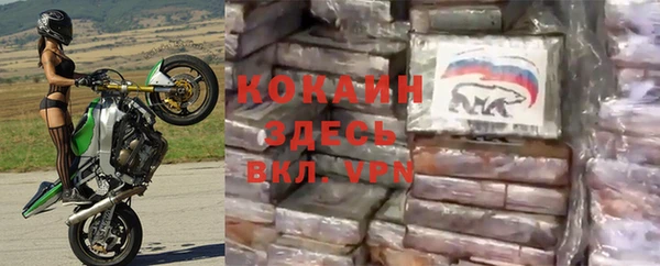 дживик Верхний Тагил